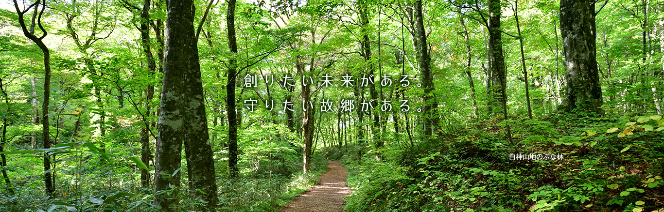 創りたい未来がある。守りたい故郷がある。