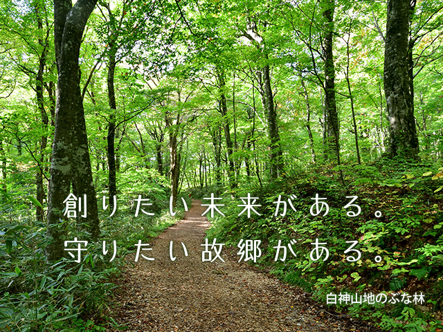 創りたい未来がある。守りたい故郷がある。