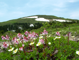 森吉山（北秋田市）