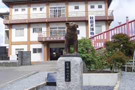 秋田犬会館（大館市）