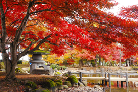 旧池田氏庭園(大仙市)