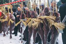 掛魚まつり(にかほ市)