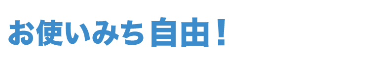 お使いみち自由！