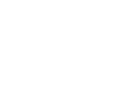POINT1